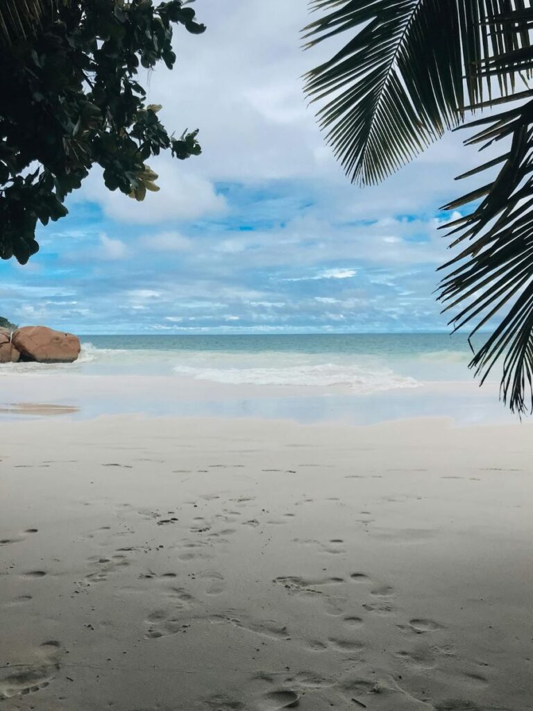 Sandstrand mit Palmen und großen Steinen