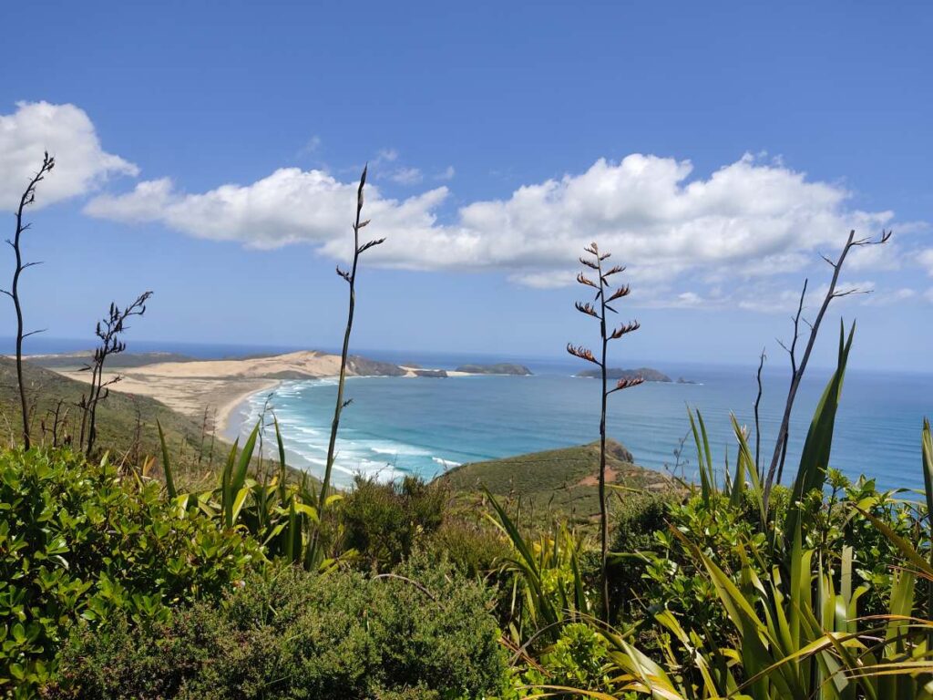 Strand und Flax Cape Reinga