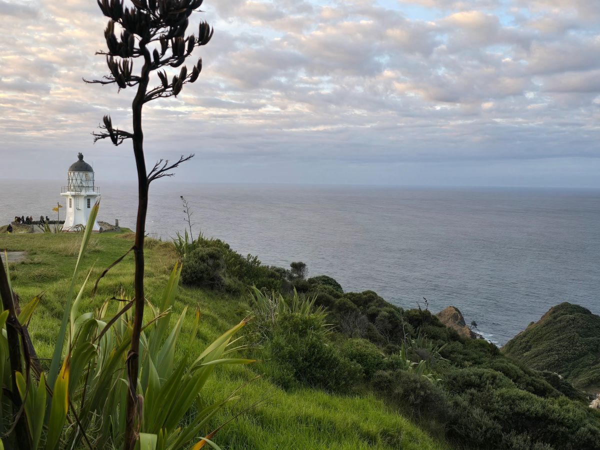 Leuchturm am Cape Reinga und Pohutukawa Baum aus der Maori Legende