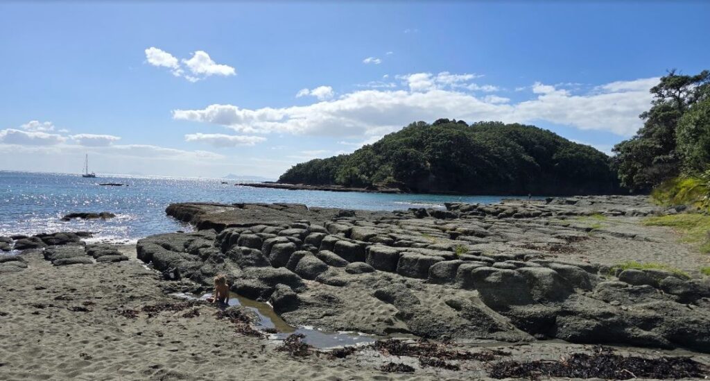 Auf der Nordinsel gibt es auch Sandflies, aber nicht so viele, wie auf der Südinsel, Goat Island, Nordinsel Neuseelands
